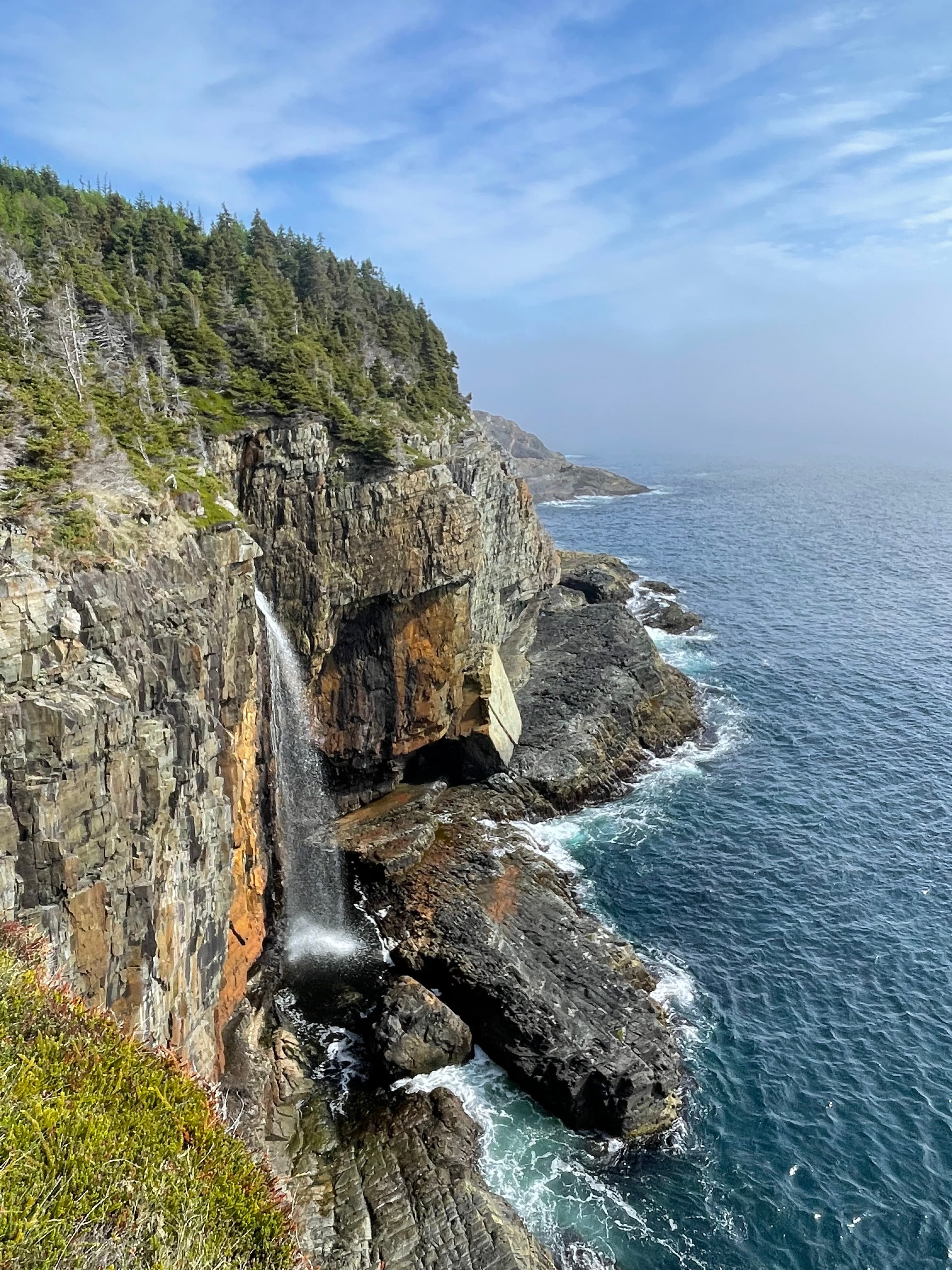 Coast of Newfoundland